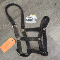 Stiff Nylon Halter, adj *fair, faded, rubs, stains, hairy, edge rubs & frays, rusty
