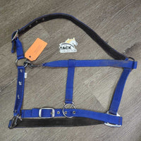 Stiff Padded Nylon Halter, adj, snap *gc, clean, BROKEN Side, peeling, cracking, rubs, stains
