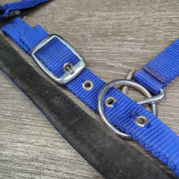 Stiff Padded Nylon Halter, adj, snap *gc, clean, BROKEN Side, peeling, cracking, rubs, stains
