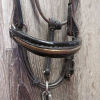 Soft Narrow Leather Gaited/Arab Show Halter, attached short Lead Shank *vgc/gc, clean, rubs, scrapes, unstitched lead end
