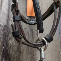 Soft Narrow Leather Gaited/Arab Show Halter, attached short Lead Shank *vgc/gc, clean, rubs, scrapes, unstitched lead end
