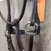 Soft Narrow Leather Gaited/Arab Show Halter, attached short Lead Shank *vgc/gc, clean, rubs, scrapes, unstitched lead end

