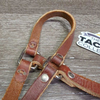 Soft Narrow Leather Halter, slip nose *xc, clean, mnr rubs
