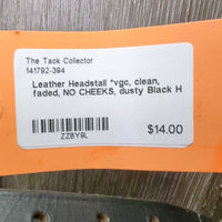Leather Headstall *vgc, clean, faded, NO CHEEKS, dusty
