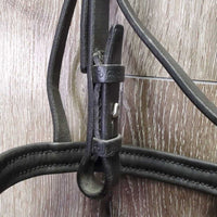 Rsd/Padded Bridle, Flash *xc/like new, dusty, older
