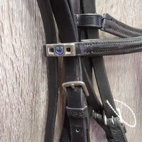 Rsd/Padded Bridle, Flash *xc/like new, dusty, older
