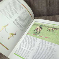 Threshold Picture Guides: Poles & Gridwork by Jane Wallace *vgc, faded, discolored
