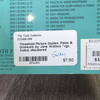Threshold Picture Guides: Poles & Gridwork by Jane Wallace *vgc, faded, discolored
