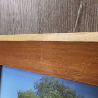 Mare & Frame Wood Horse Photograph *vgc, mnr scratch
