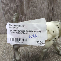 Running Appaloosa Foal *vgc

