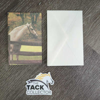 10 Horse Cards & Envelopes Set, box *new, older
