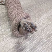 Nylon Lead Rope, bull snap *gc, clean, faded, mnr stiff, snags/frays
