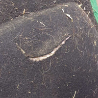 Microfiber Foam Western Pad *gc, hairy, dirt, hay, slice, mnr pills, faded, curled edges
