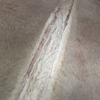 Thick Western Pad *gc, v. filthy, hairy, clumpy, stains, rubs, dents, mnr snags
