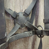 Monorcrown Biothane Side Pull, FS/Rsd Cotton Web Reins *vgc/gc, threads, clean, film, dirt, hair, stiff, scrapes, cracks
