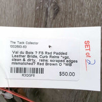 FS Rsd Padded Leather Bridle, Curb Reins *vgc, clean & dirty, reins: scraped edges, mismatched?
