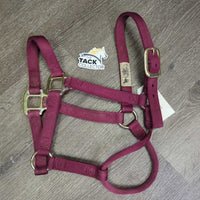 Nylon Halter *vgc/gc, clean, mnr dirt/residue, hair, rust, stains
