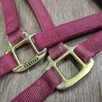 Nylon Halter *vgc/gc, clean, mnr dirt/residue, hair, rust, stains
