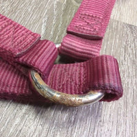 Nylon Halter *vgc/gc, clean, mnr dirt/residue, hair, rust, stains
