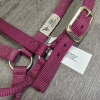 Nylon Halter *vgc/gc, clean, mnr dirt/residue, hair, rust, stains
