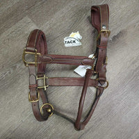 Padded Leather Halte, adj, snapr *vgc, dirt, film
