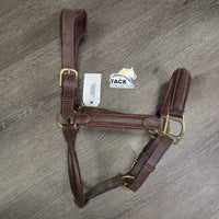 Padded Leather Halte, adj, snapr *vgc, dirt, film
