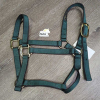 Thick Nylon Halter *like new
