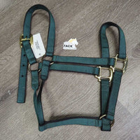 Thick Nylon Halter *like new
