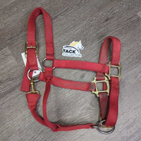 Thick Nylon Halter, adj, snap *gc, faded, dirty, frayed & rubbed edges, stains
