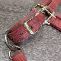 Thick Nylon Halter, adj, snap *gc/fair, v.faded, dirty, stains, hole rubs & frays, oxidized, residue
