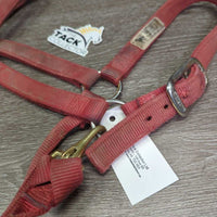 Thick Nylon Halter, adj, snap *gc/fair, v.faded, dirty, stains, hole rubs & frays, oxidized, residue
