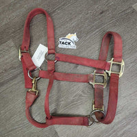 Thick Nylon Halter, adj, snap *gc/fair, v.faded, dirty, stains, hole rubs & frays, oxidized, residue
