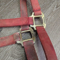 Thick Nylon Halter, adj, snap *gc/fair, v.faded, dirty, stains, hole rubs & frays, oxidized, residue
