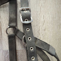 Nylon & Fleece Lungeing Cavesson *gc, dirty, dusty
