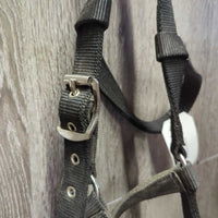 Nylon & Fleece Lungeing Cavesson *gc, dirty, dusty
