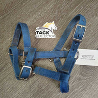 Nylon Halter *gc, clean, rubs, stains, hole frays, rusty, faded, edge rubs & frays
