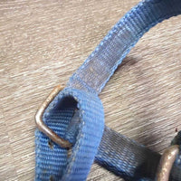 Nylon Halter *gc, clean, rubs, stains, hole frays, rusty, faded, edge rubs & frays
