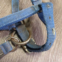 Nylon Halter *gc, clean, rubs, stains, hole frays, rusty, faded, edge rubs & frays
