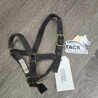 Thick Stiff Nylon Halter, adj *gc, mnr dirt, stains, oxidized, faded, rubs, older
