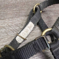 Thick Stiff Nylon Halter, adj *gc, mnr dirt, stains, oxidized, faded, rubs, older
