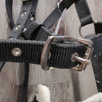 Nylon Web & Fleece Lungeing Cavesson *gc, hairy, clumpy, oxidized, rubs
