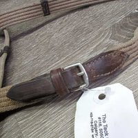 Wide Cotton Web Reins, finger stoppers, *gc, dirty, rubs, scrapes, chewed, stains, faded, older, stiff, dry
