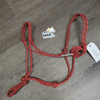 Thick Stiff Nylon Rope Halter *gc, dirfty, stains, faded, rubs
