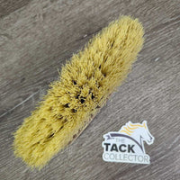 Water ? Dandy Brush *gc, v stiff, dry, clean, chipped, older
