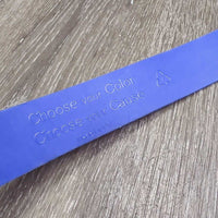 Soft TPE Plastic Belt & Plastic Buckle *gc, mnr stains, scraped edges, scratches
