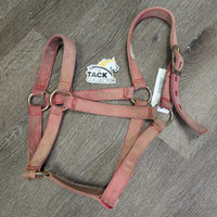 Hvy Stiff Nylon Halter *gc/fair, stains, faded, rubs, scrapes, frays, rusty
