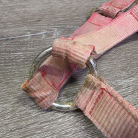 Hvy Stiff Nylon Halter *gc/fair, stains, faded, rubs, scrapes, frays, rusty
