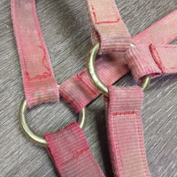Hvy Stiff Nylon Halter *gc/fair, stains, faded, rubs, scrapes, frays, rusty
