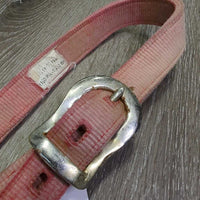 Hvy Stiff Nylon Halter *gc/fair, stains, faded, rubs, scrapes, frays, rusty
