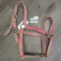 Hvy Stiff Nylon Halter *gc/fair, stains, faded, rubs, scrapes, frays, rusty
